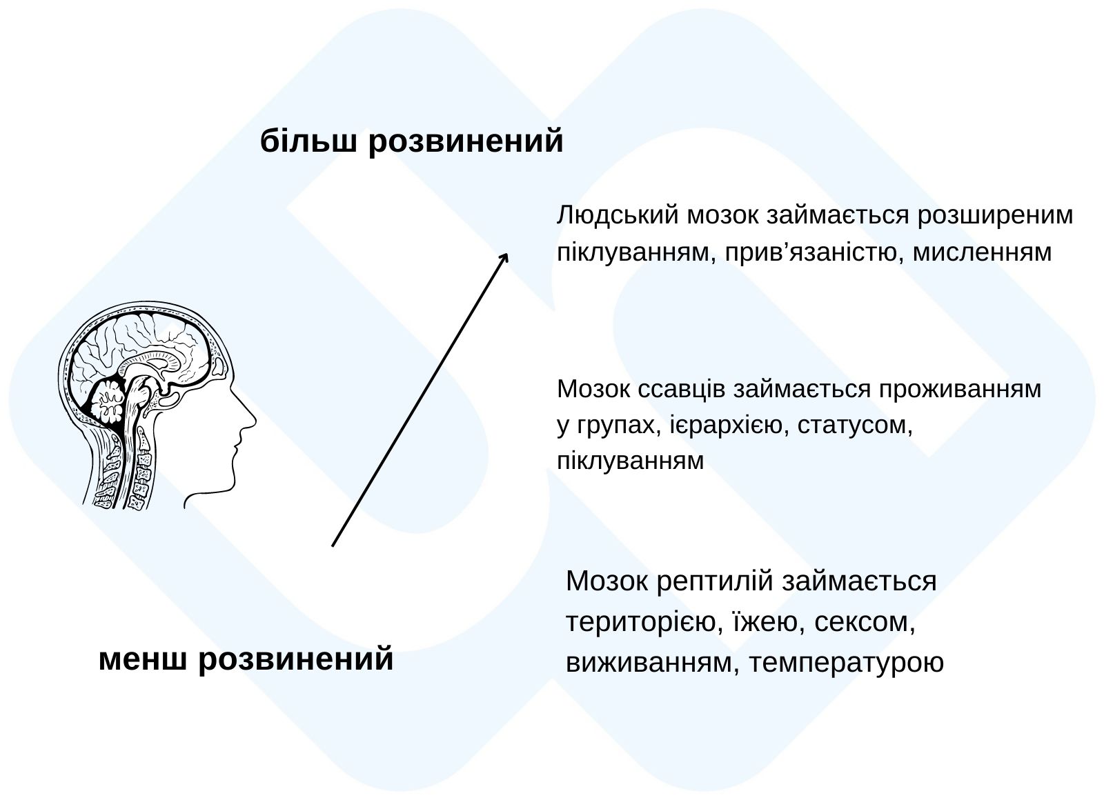 Що таке терапія, орієнтована на співчуття (CFT)? - фото № 2